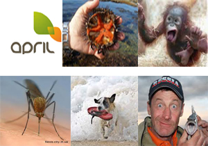 Топ-5 животных,  поучаствовавших в страховых случаях за рубежом